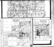 Mount Erie Township, Sims, Keenes - Below, Wayne County 1910